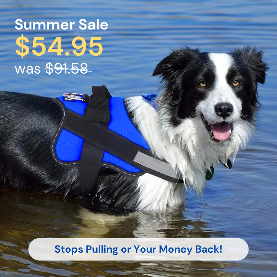 Effortless Dog Walking Must Have Dog Harness Stops Pulling Instantly